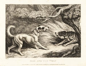 En hushund i halsbånd tilbyder mad til en udsultet ulv. 1811 (ætsning) af Samuel Howitt