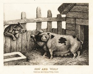 En stor so i en svinestald, der snerrer ad en ulv. 1811 (ætsning)