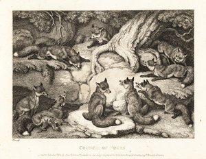 En flok ræve mødes i en skov. 1811 (ætsning) af Samuel Howitt
