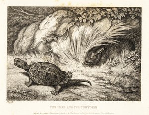 En skildpadde overhaler en sovende hare i et kapløb. 1811 (ætsning) af Samuel Howitt
