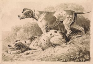 Gun Dogs af Samuel Howitt