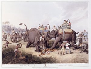 Den døde tiger; Mort du tigre, 1807