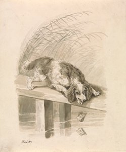 Hunden og Skyggen af Samuel Howitt