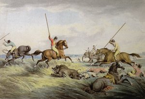 The Hog Chase - The Kill, fra 