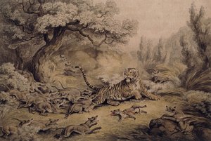 Vilde hunde angriber en tiger, af Samuel Howitt
