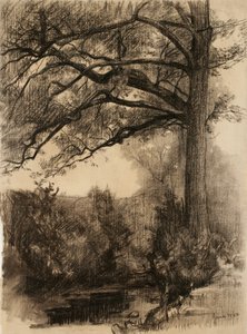 Landskab med stort træ, 1884 (trækul på bopapir)