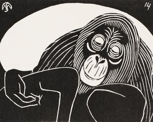 Orangutang af Samuel Jessurun de Mesquita