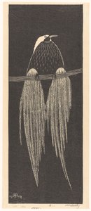 Bird of Paradise (original titel) af Samuel Jessurun de Mesquita