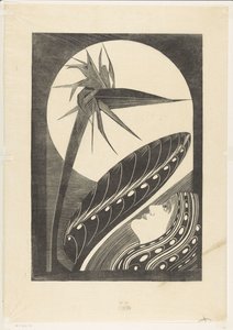 Faldet strelitzia af Samuel Jessurun de Mesquita