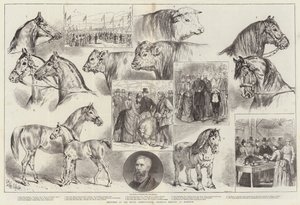 Skitser ved Royal Agricultural Society