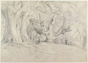 Gamle træer, Lullingstone Park, 1828 (grafit på papir) af Samuel Palmer