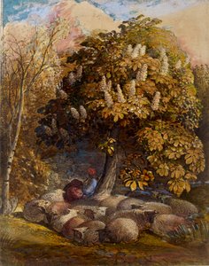 Pastoral med et hestekastanjetræ, c1830-1831 af Samuel Palmer