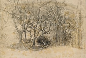 Studie af træer, Clovelly Park, 1834 af Samuel Palmer