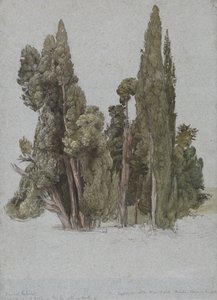 Cypresserne ved Villa d