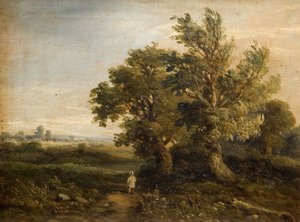 Landskab med træer, 1863. af Samuel Restell Lines