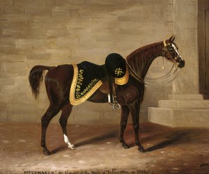 København, opladeren af hertugen af Wellington ved Waterloo