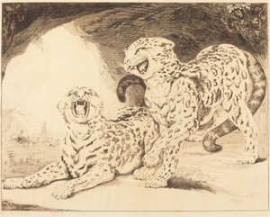 Leoparder af Samuel William Reynolds I after James Northcote