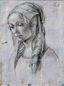 Ung kvindes hoved”” Penseltegning og hvide klapper tilskriver Alessandro di Mariano dei Filipepi dit Sandro Botticelli (1445-1510) Paris fra det 15. århundrede, Louvre-museet af Sandro (attr. to) Botticelli
