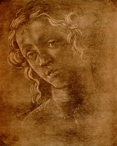 Kvindelig hoved af Sandro Botticelli
