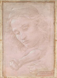 Leder af en ungdom iført kasket; en højre Underarm med Haanden, der griber en Sten; og en venstre hånd, der holder et draperi af Sandro Botticelli