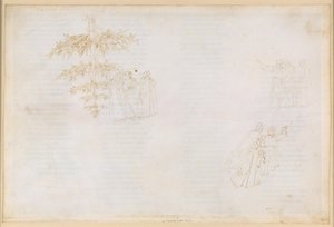 La Divina Commedia, Purgatorio XXII: Opstigningen til den sjette ring i Purgatoriet; samtaler med Statius; de glubske menneskers bod af Sandro Botticelli