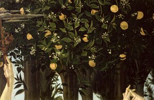 Primavera, detalje af appelsintræet, c.1478 tempera på panel af Sandro Botticelli