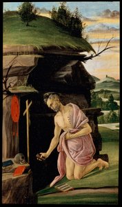 Sankt Hieronymus, mellem 1498 og 1505 af Sandro Botticelli