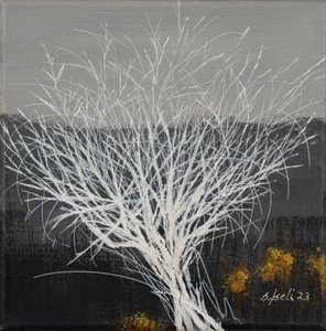  af Sandy Iseli