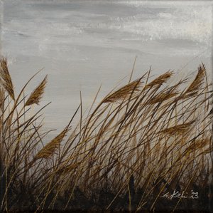  af Sandy Iseli