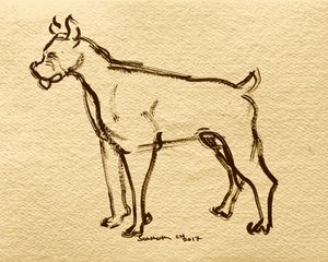 Skitse af en bokserhund af Santhosh ch