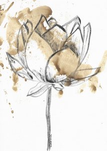 Kaffeplettet lotusblomst af Santhosh ch