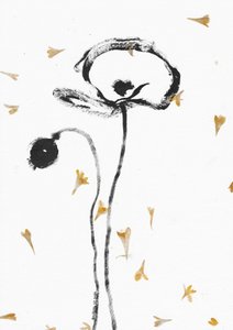 Elegante sorte valmuer af Santhosh ch
