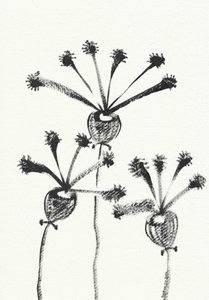 Minimalistisk botanisk tegning af Santhosh ch