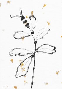 Minimalistisk botanisk skitse af Santhosh ch