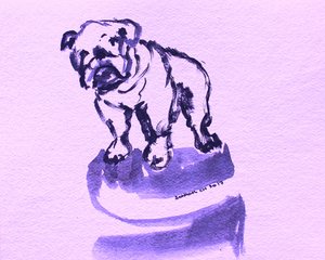Skitse af en lilla bulldog af Santhosh ch