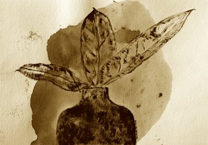 Botanisk stilleben i sepia af Santhosh ch