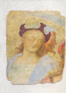 Ung mand (fresco) af Sanzio of Urbino (attr. to) Raphael