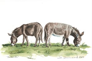 Bookends, 2024 (Akvarel på papir)