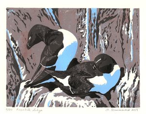 Razorbill Ledge, 2014 (linoleumssnit)
