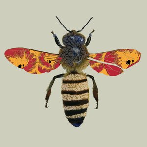 Honey Bee, 2010 (digital) af Sarah Hough