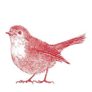 Robin, 2017 af Sarah Hough