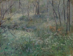 Vild persille, 1900.