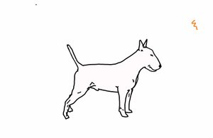 Bull terrier, 2018, (digital tegning) af Sarah Thompson Engels