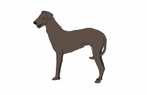 Hound, 2018, (digital tegning) af Sarah Thompson Engels