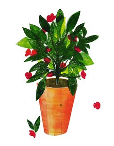 Orange pot 2020 (monoprint)