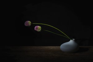  af Saskia Dingemans