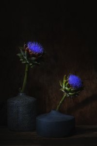  af Saskia Dingemans