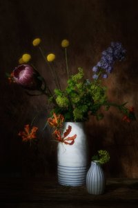 af Saskia Dingemans