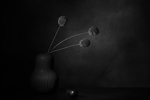  af Saskia Dingemans