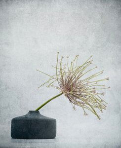  af Saskia Dingemans
